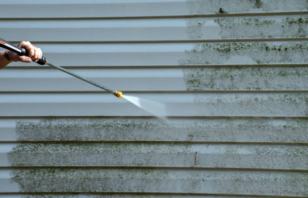 Best Sidewalk Pressure Washing  in Collinsville, MS