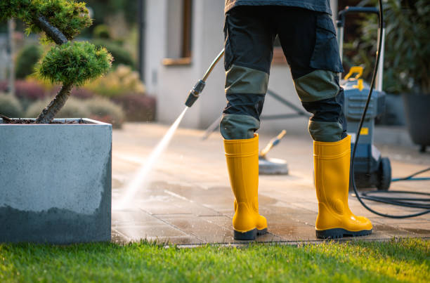 Best Exterior Home Cleaning  in Collinsville, MS